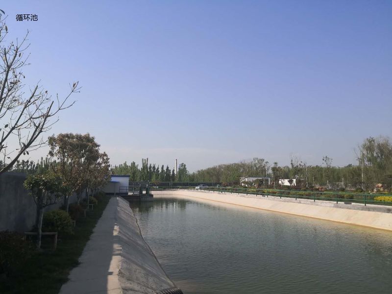 চীন Shandong Xingshun New Material Co., Ltd. কোম্পানির প্রোফাইল 